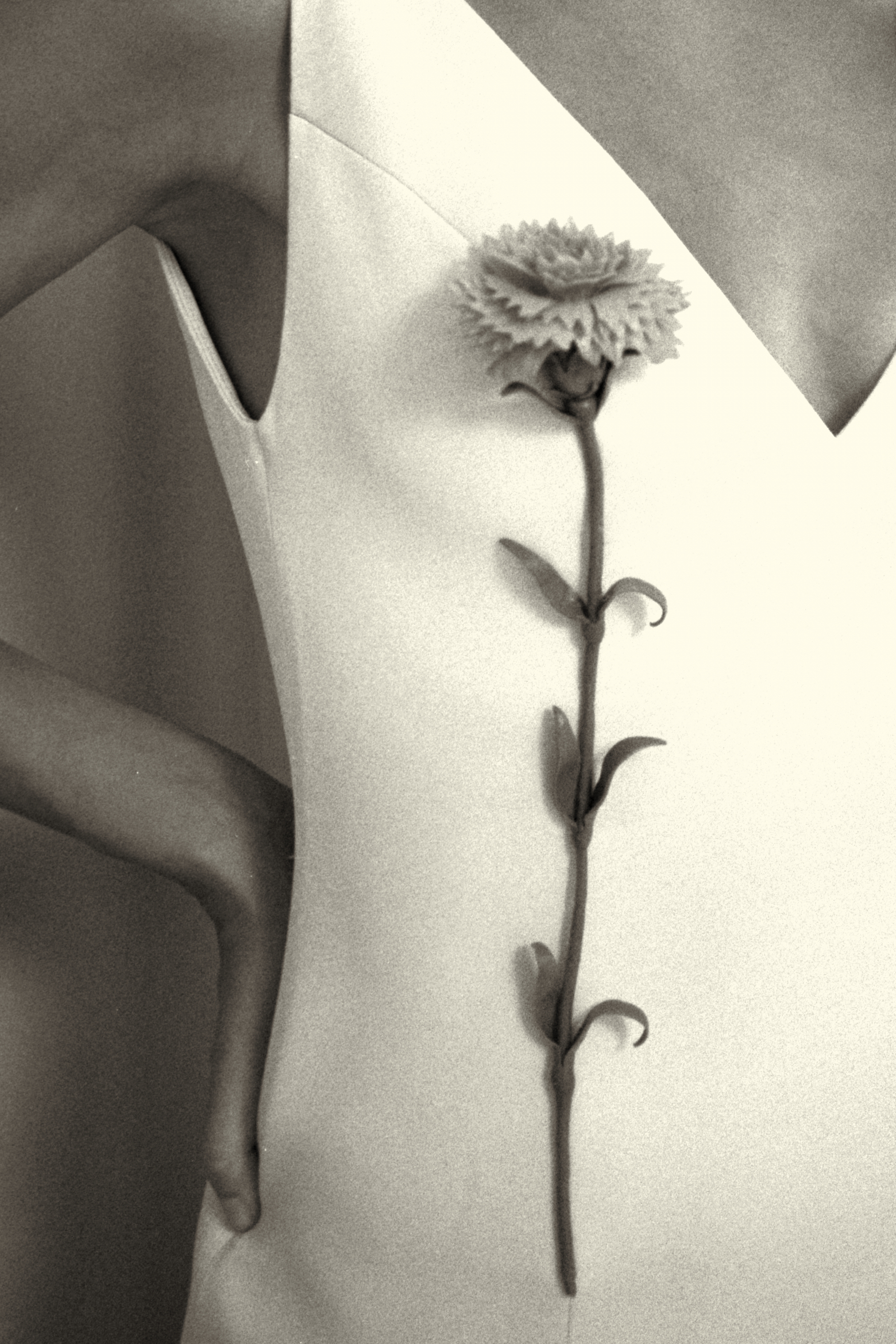 Meltem Özbek SS '26